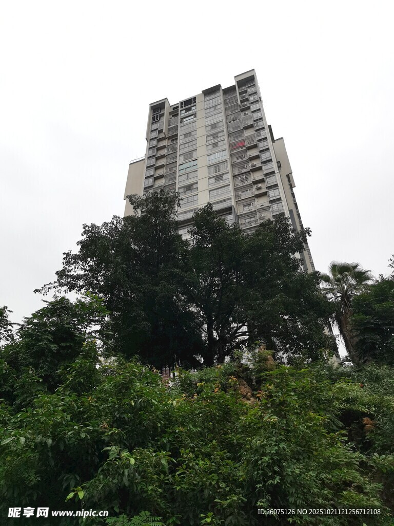 高楼隐于绿树间