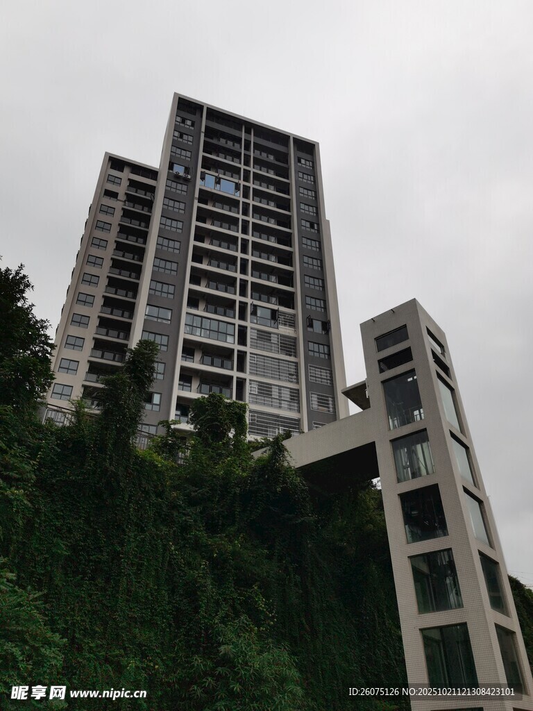 现代高楼与绿植相映成趣