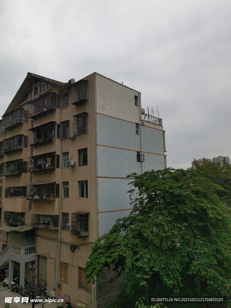老旧居民楼与葱郁绿树
