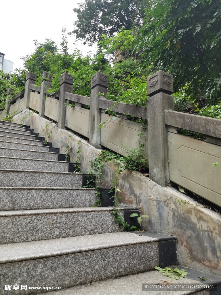 石砌台阶旁绿植相伴