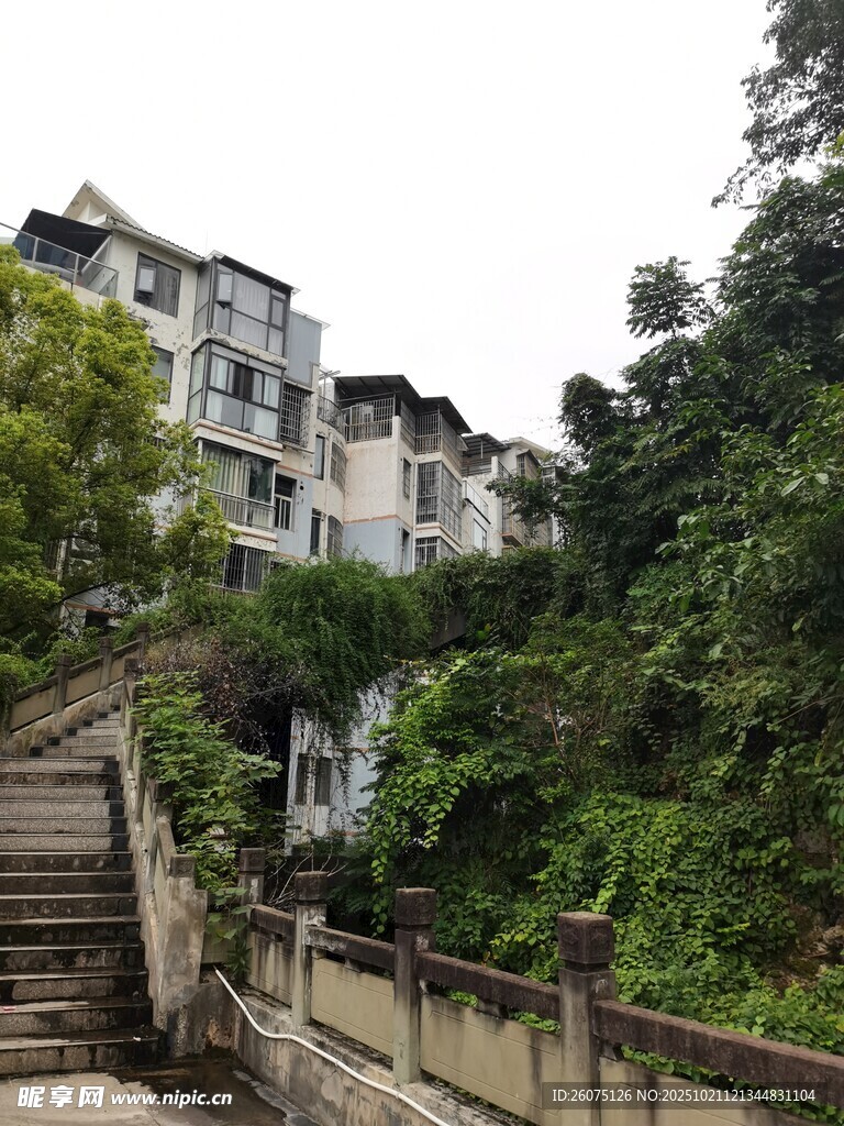 山间石阶旁的绿植与楼房