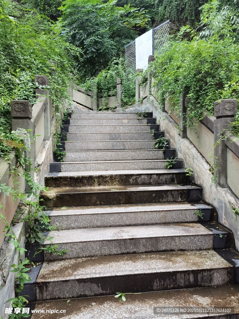 古朴石阶隐于葱郁绿植间