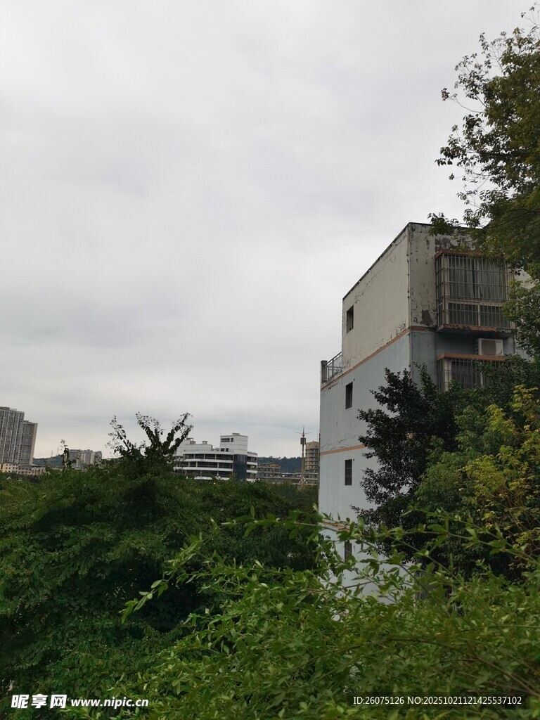 城市中被绿植环绕的建筑