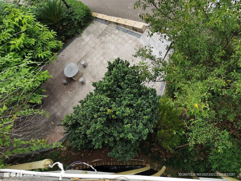 俯瞰绿意盎然的庭院角落