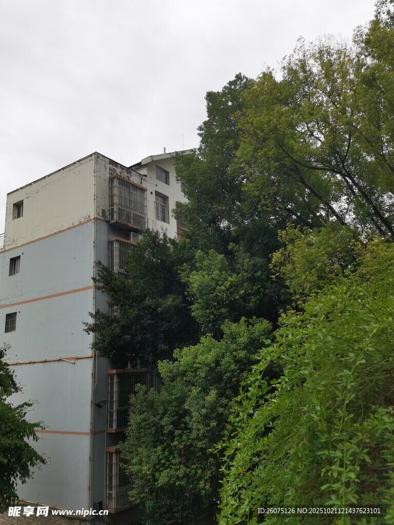 被绿植环绕的多层建筑