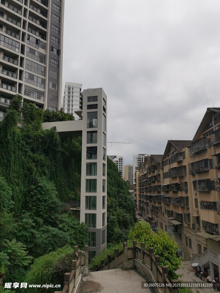 城市中高低建筑与绿植景观