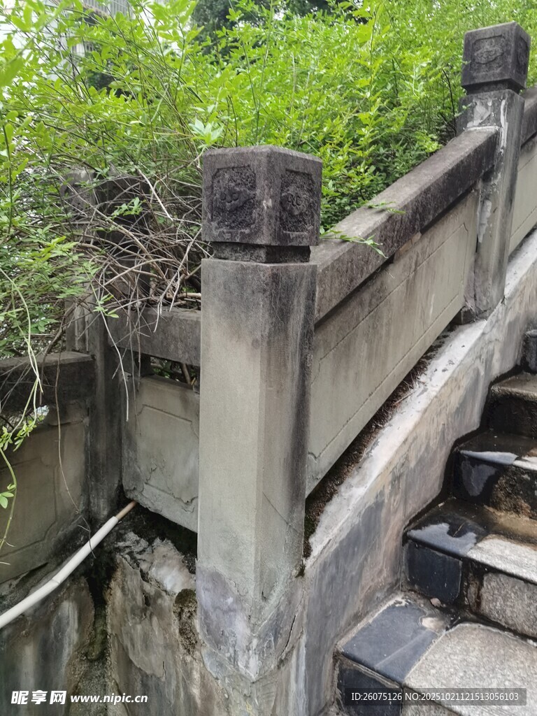 古朴石阶旁的绿植景致