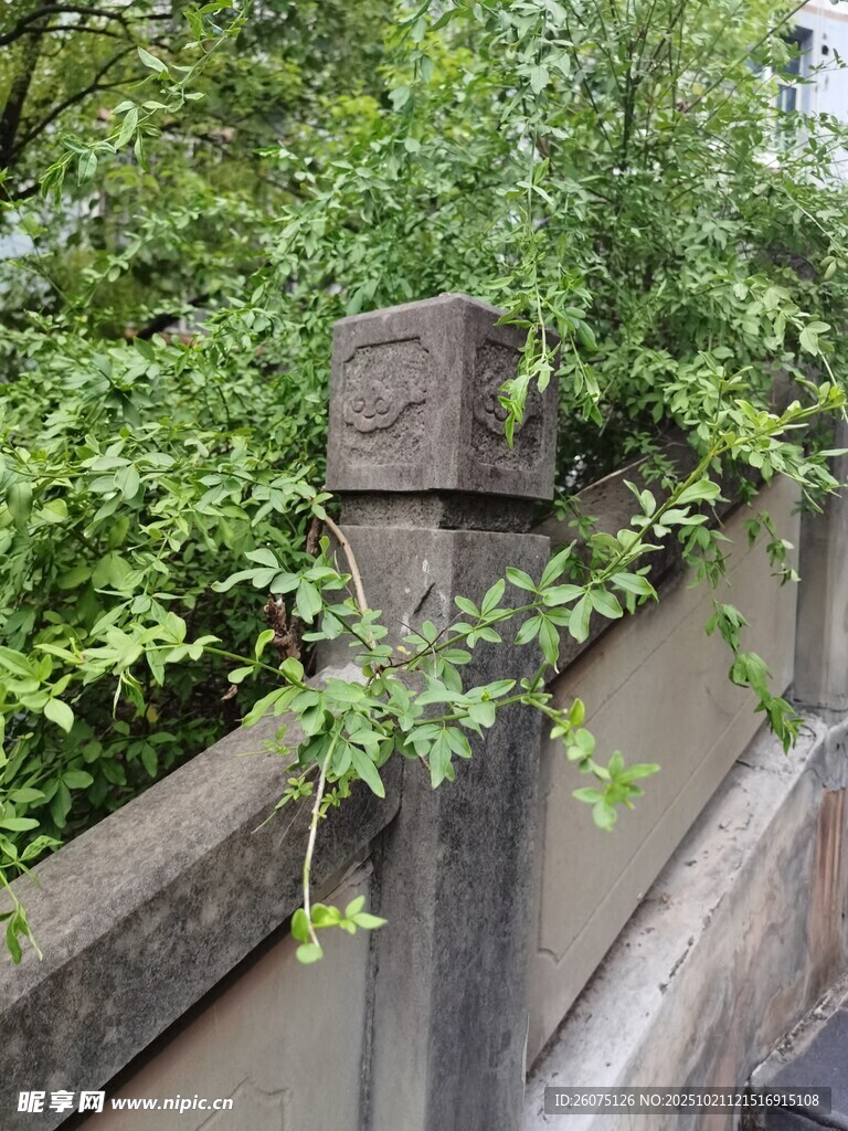 藤蔓缠绕的古朴木质围栏