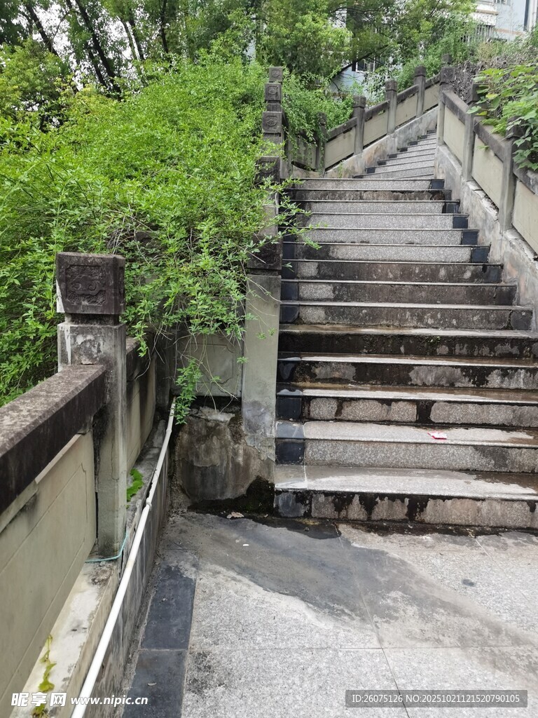 户外斑驳石阶与绿植景观