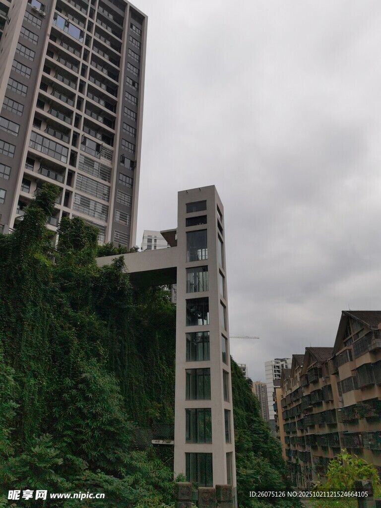 废弃高楼被绿植覆盖景象