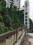 城市中绿植环绕的建筑步道