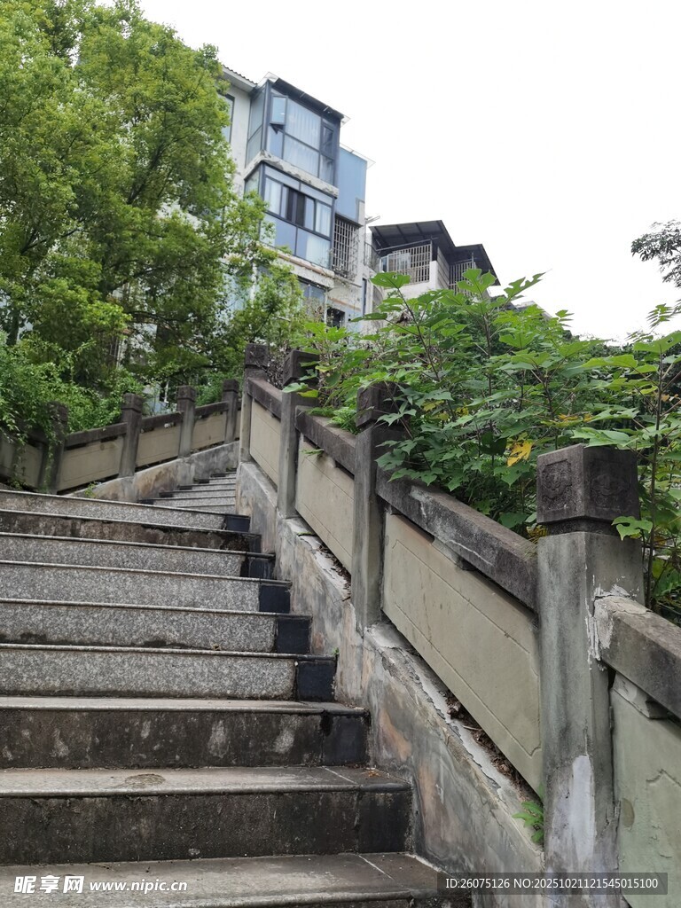 古朴石阶旁绿树环绕