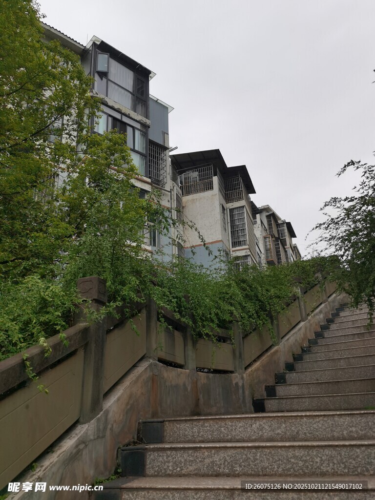 山城阶梯旁的绿植与建筑