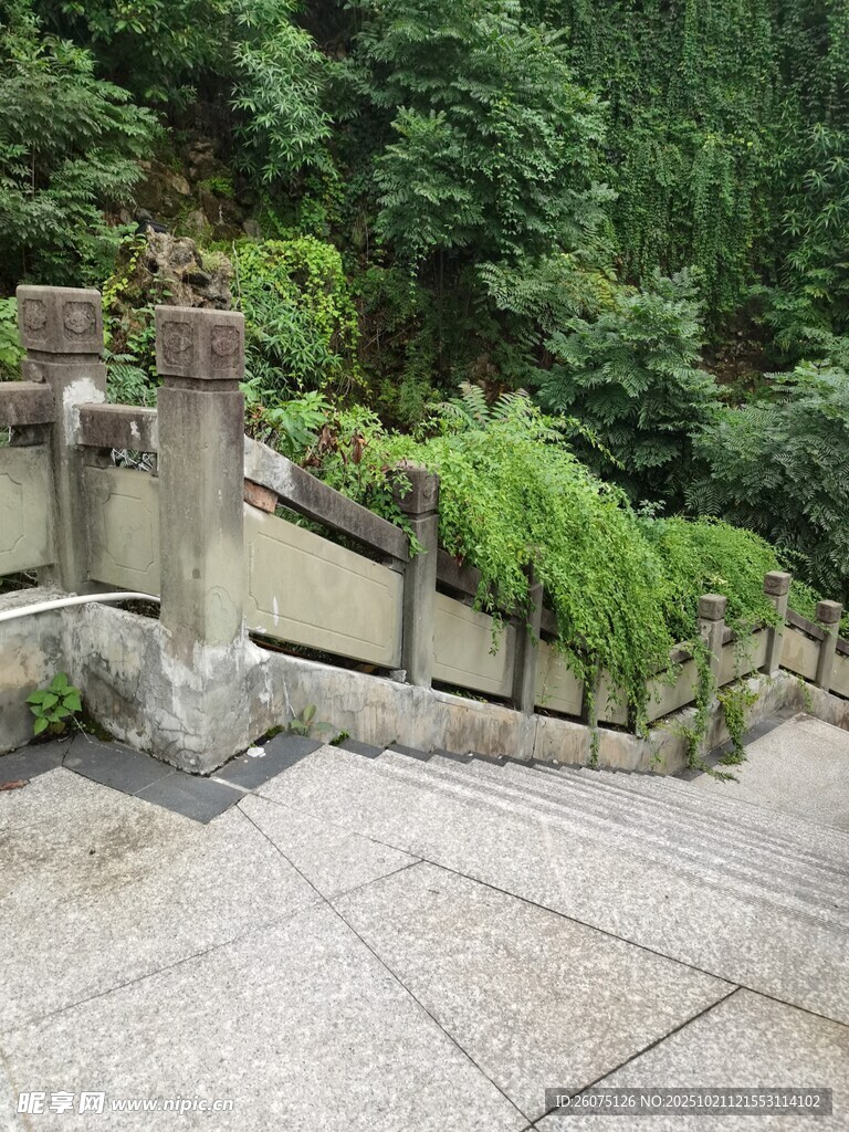 山间石阶绿植相伴