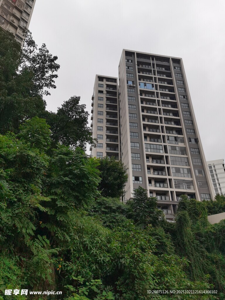山林间的高层住宅楼