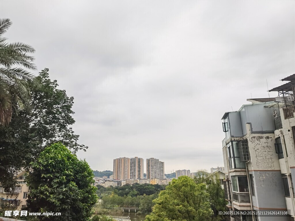 城市楼宇与绿树景观
