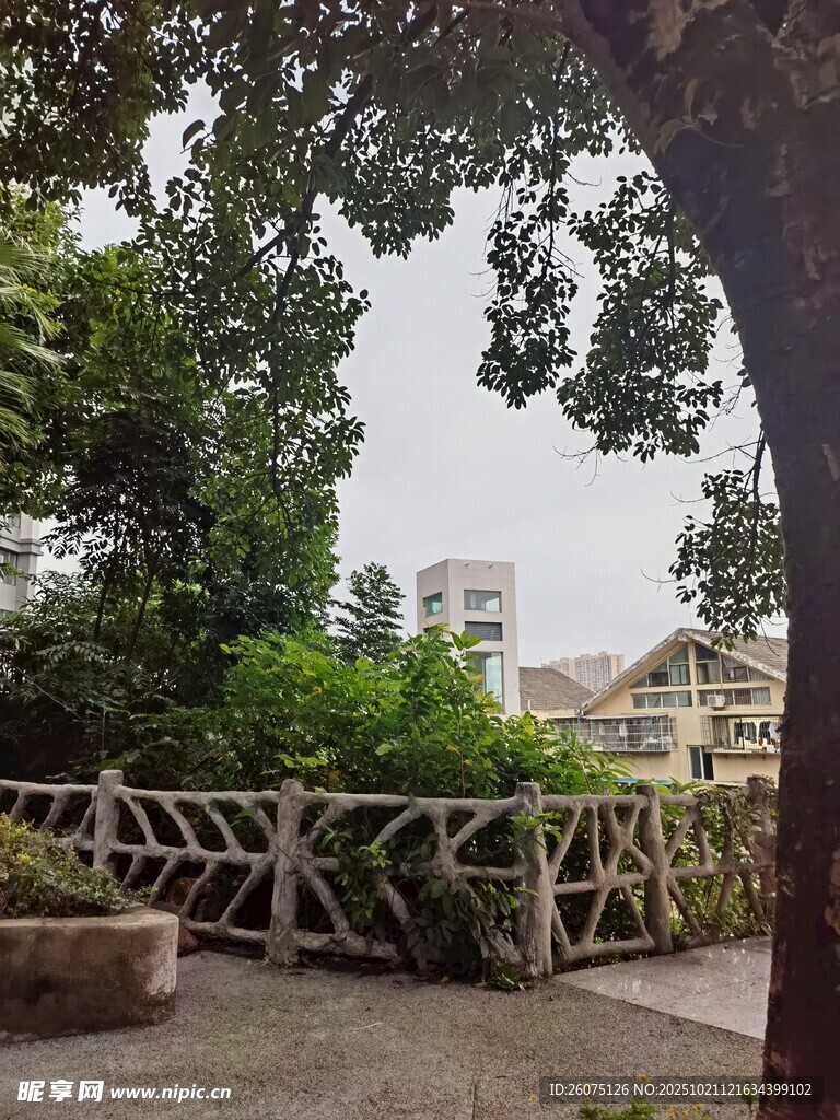 户外绿树环绕的休闲区域