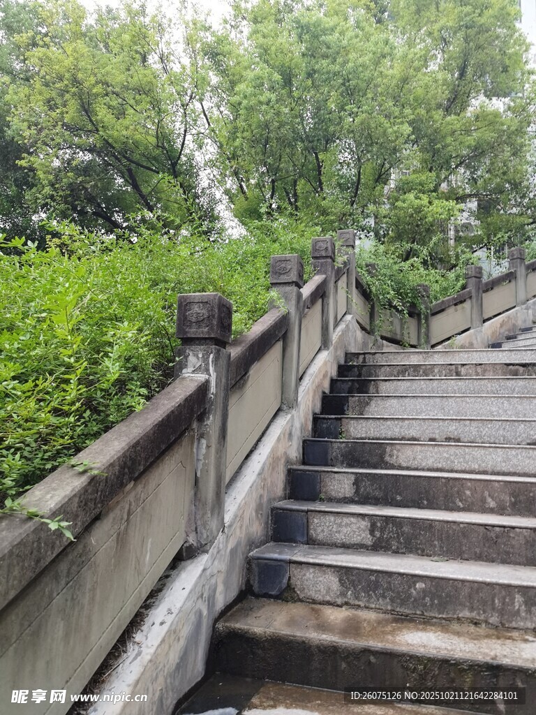 古朴石阶旁绿意盎然