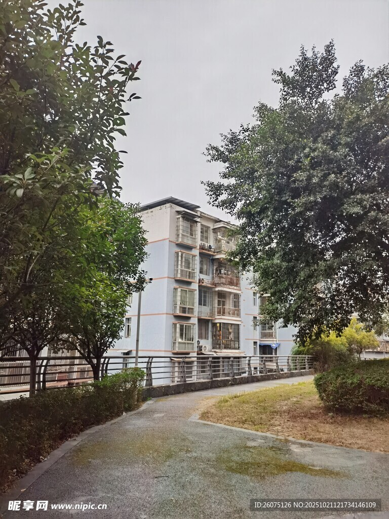 小区内的多层住宅与绿化