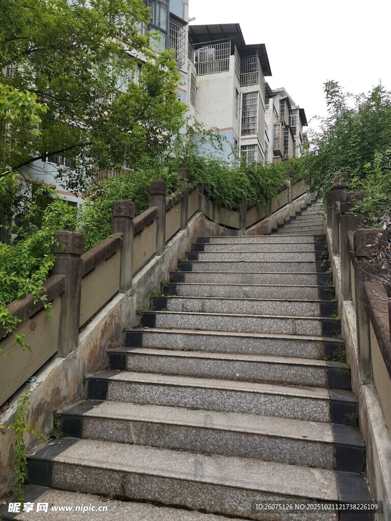 古朴石阶绿植环绕的小径