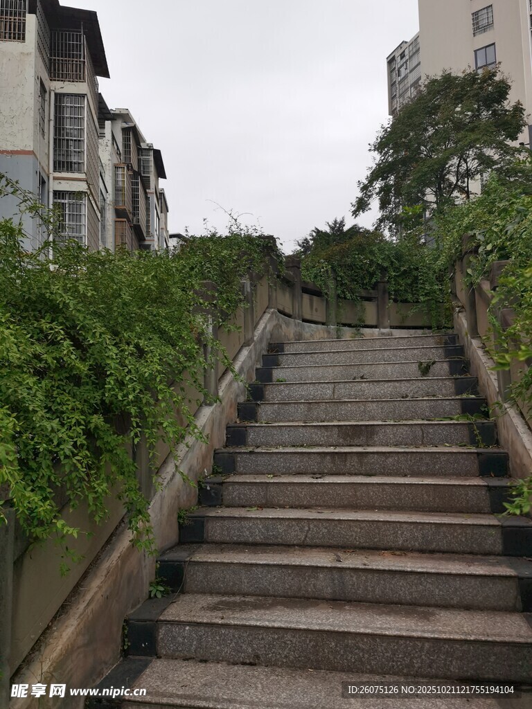 石阶小巷绿植环绕景致美