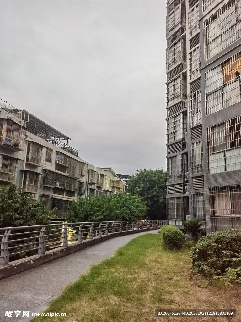 小区旁的幽静小路