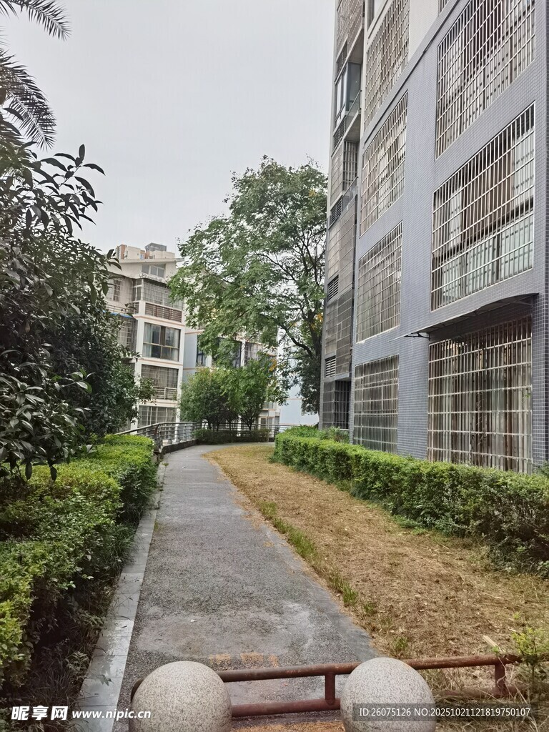 小区内的绿化小径景观
