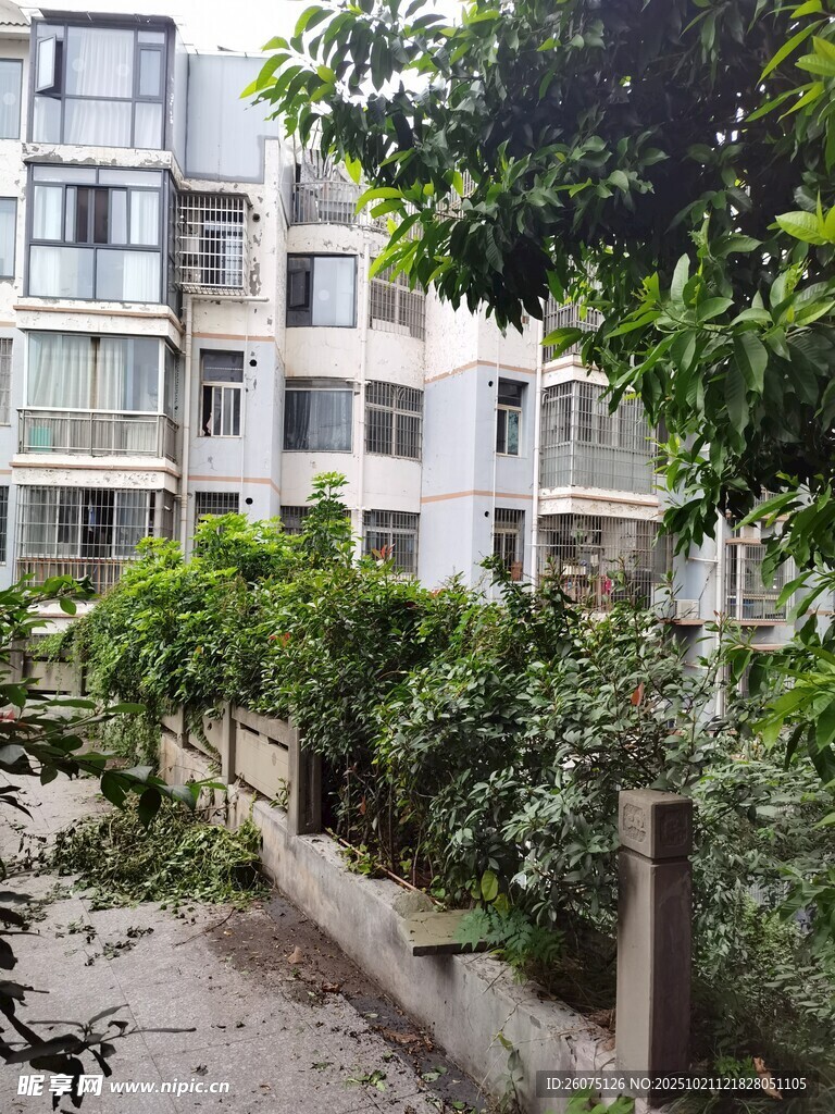 小区绿植环绕的居民楼