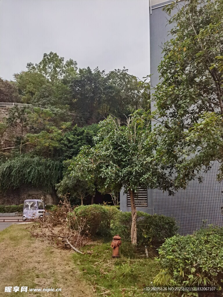 户外绿植环绕的建筑一角