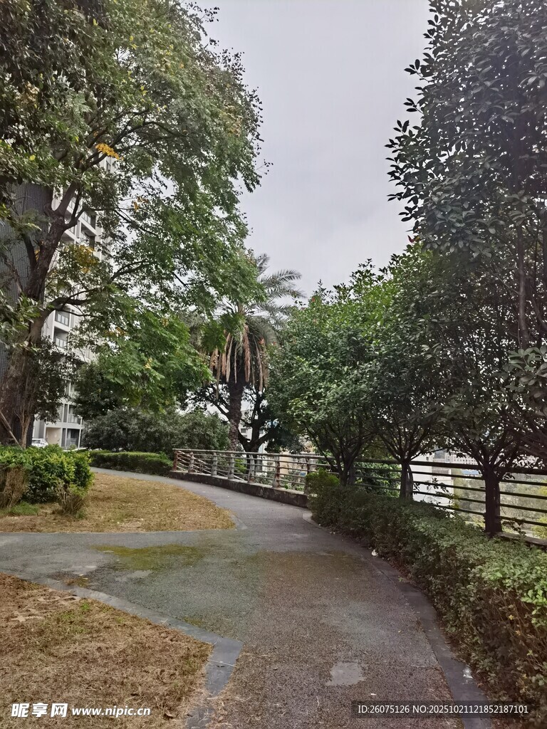 林间幽静小道