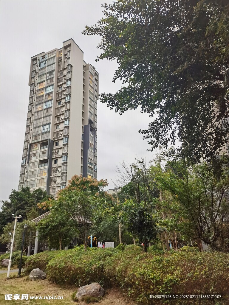 高层住宅旁的绿植景观
