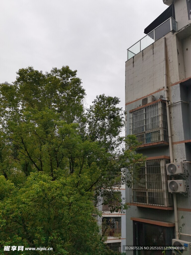 绿树环绕的居民楼