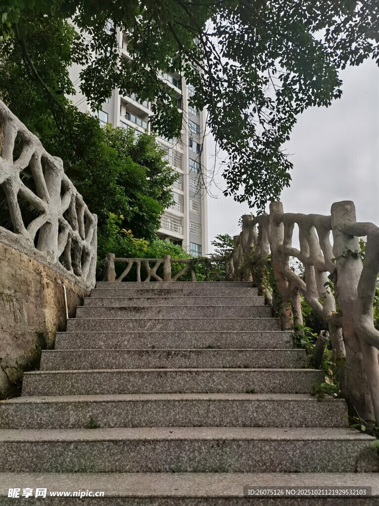 石砌台阶与绿植相伴景致
