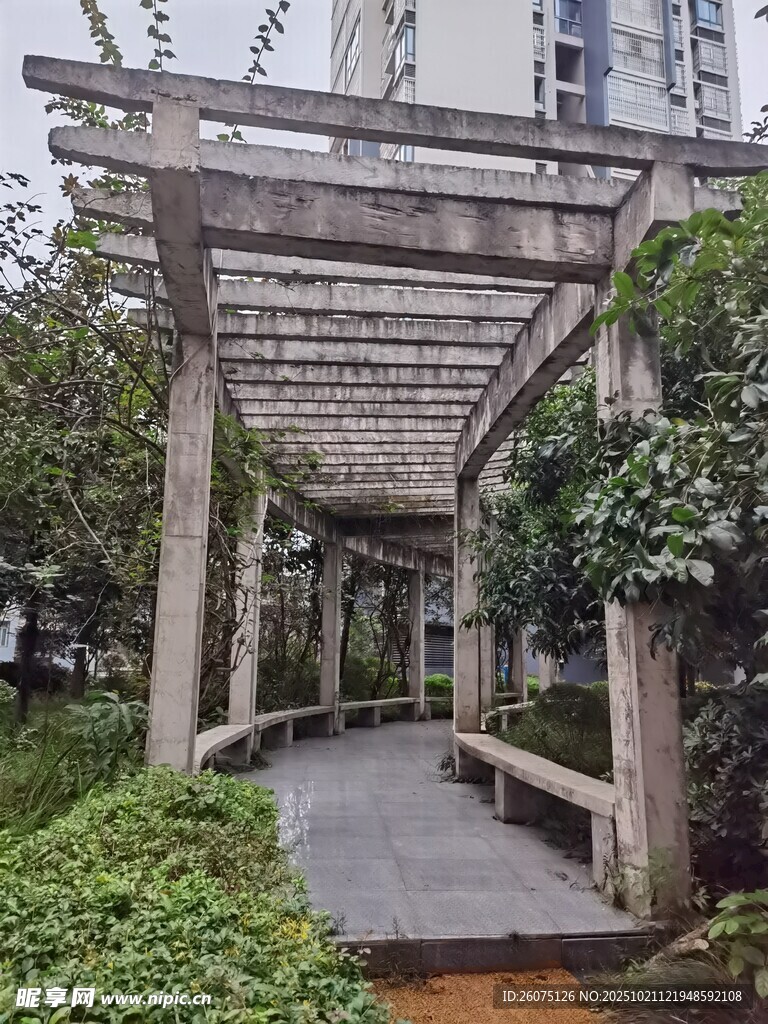 木质花架下的清幽小径