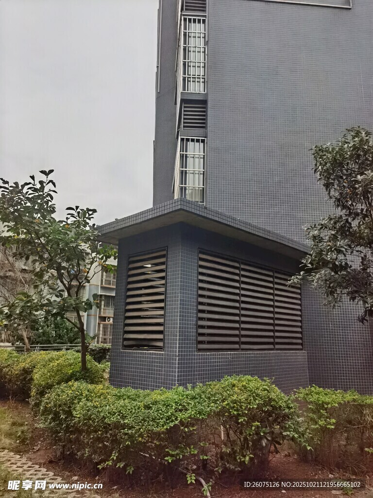 灰色建筑旁的绿植小屋