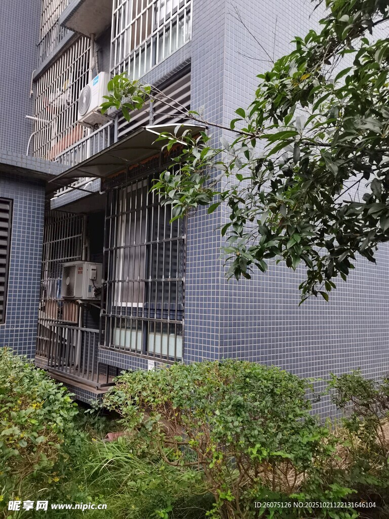 现代住宅旁的绿植景观