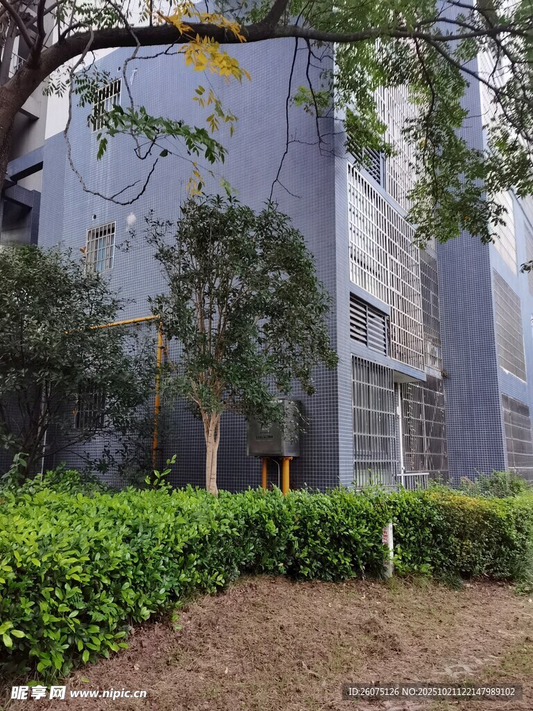 现代建筑旁的绿植景观