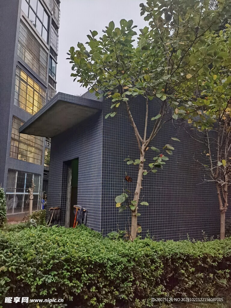 现代风格建筑旁绿植景观