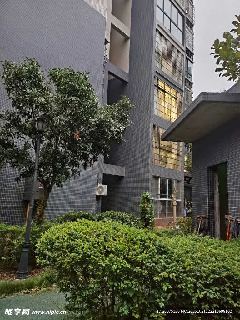 现代建筑旁的绿植景观