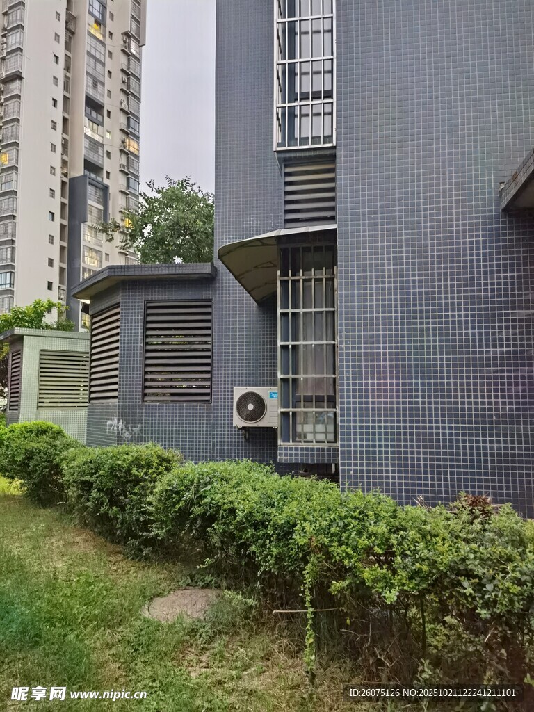 小区一角的绿植与建筑