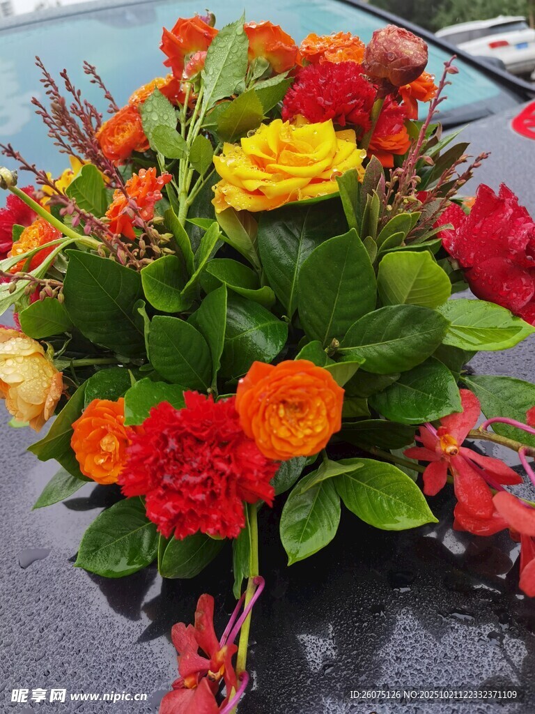多彩鲜花装饰