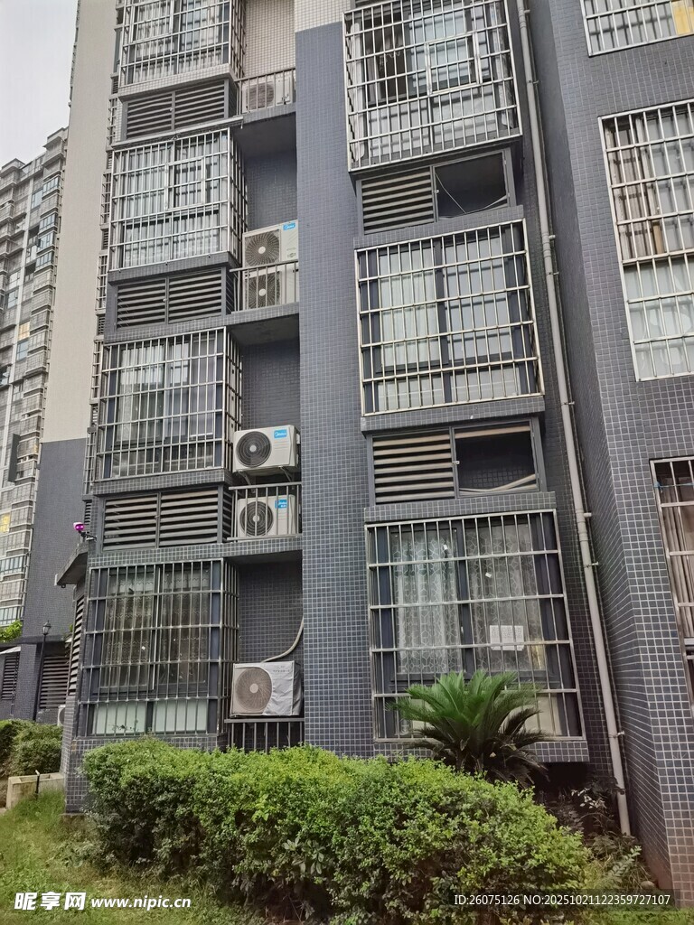 灰色居民楼外观及周边绿植