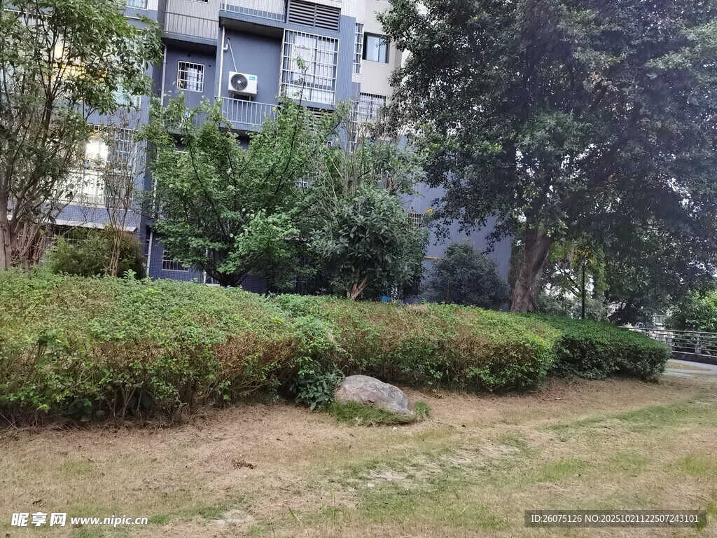 小区绿植环绕的建筑一角