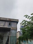 老旧建筑与绿植景观