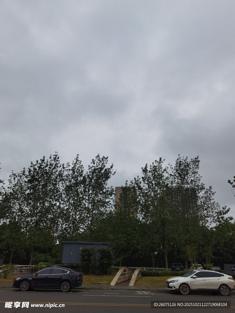 阴天停车场及周边树木