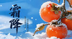 霜雪中的红柿子