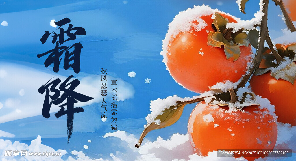 霜雪中的红柿子