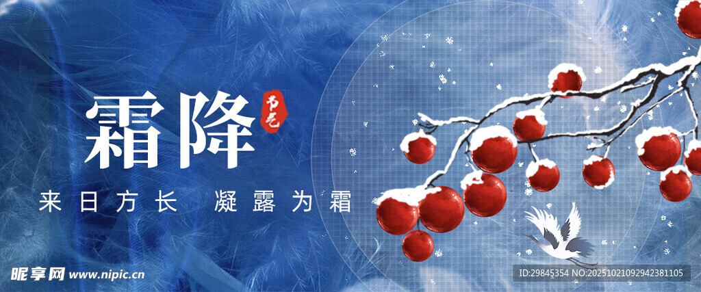 霜降时节红果覆雪美景