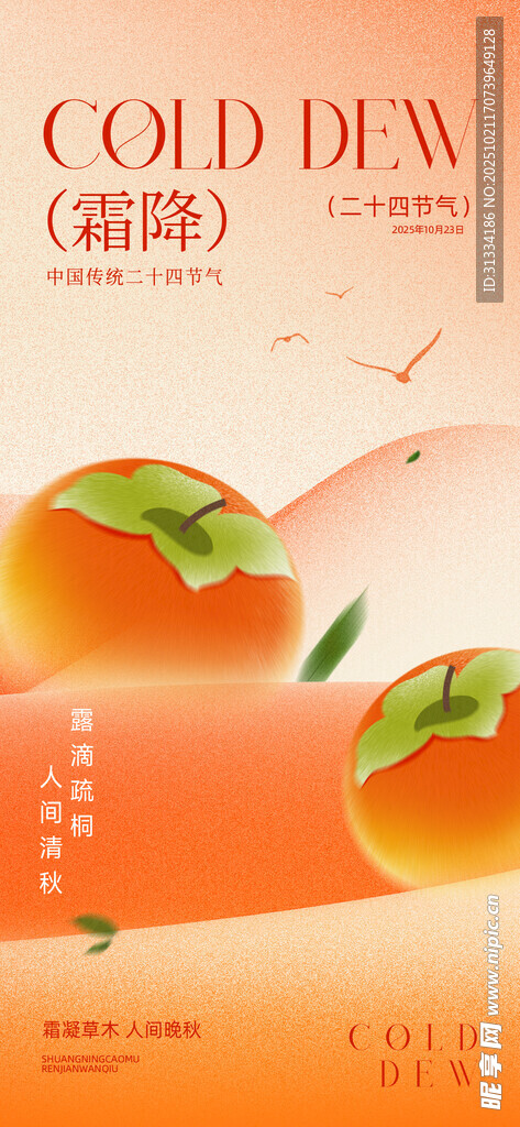 节气海报 