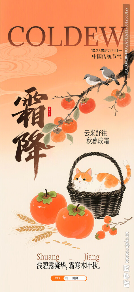 节气海报 